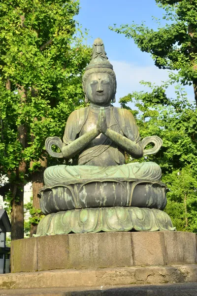 DSC_3509 (Large).JPG